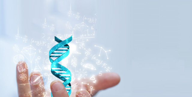 Bootstrap Touch Slider